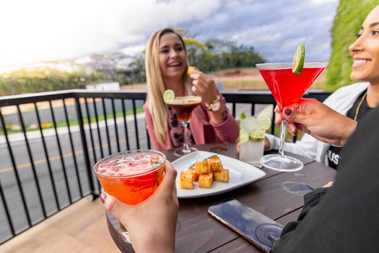 酒店 Novotel Criciuma 4*